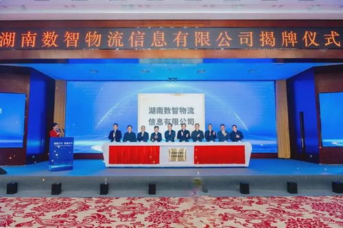湖南數(shù)智物流信息公司成立 20億注冊資本引領物流信息化新篇章